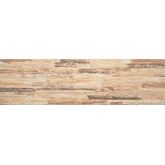 B01012深色-160×580